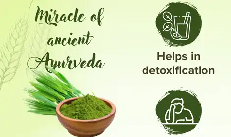 How Barley Grass Powder Helps Cleanse and Revitalize Your Body?